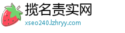 揽名责实网